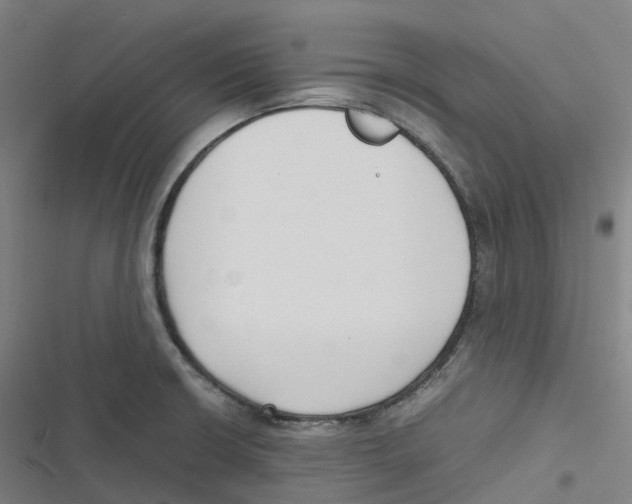 X0000116621426201001081222