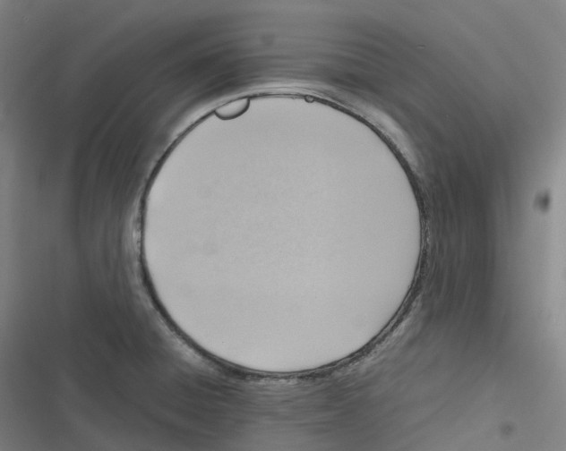 X0000116621428201001081222