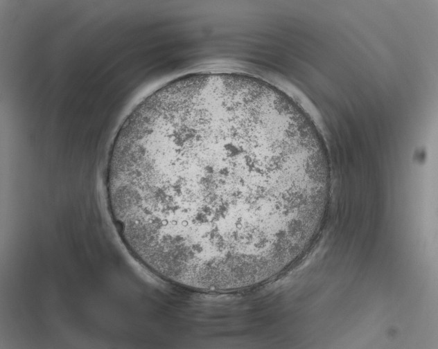 X0000116621429201001081222