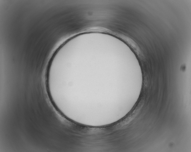 X0000116621430201001081222