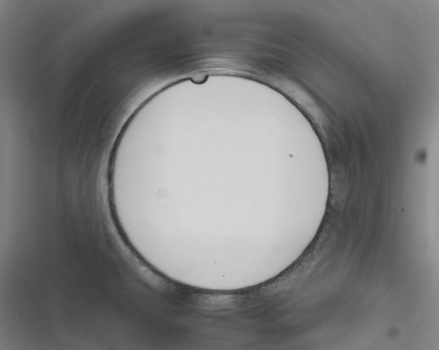 X0000116621431201001081222