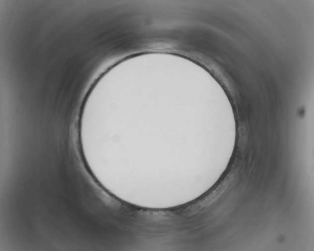 X0000116621432201001081222