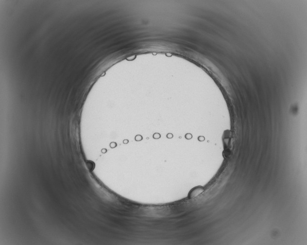 X0000116621433201001081222