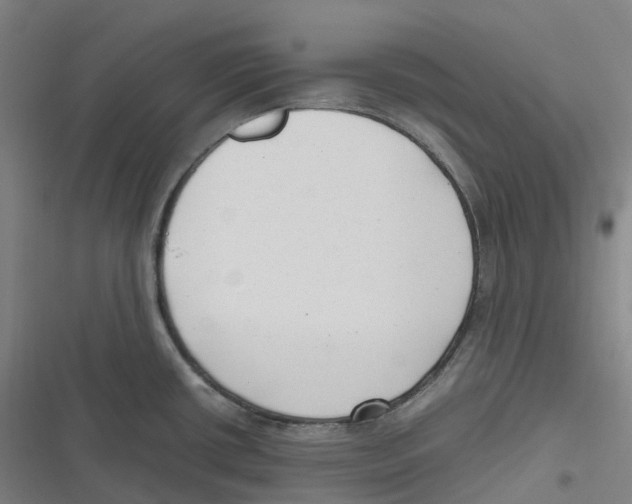 X0000116621434201001081222