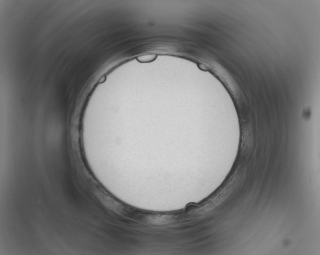 X0000116621435201001081222