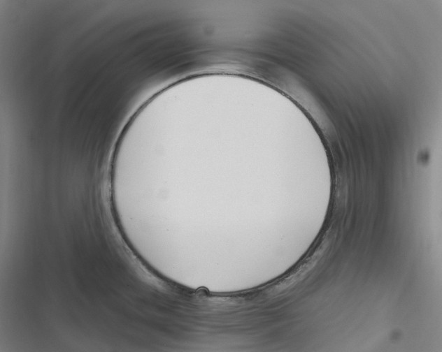 X0000116621436201001081222