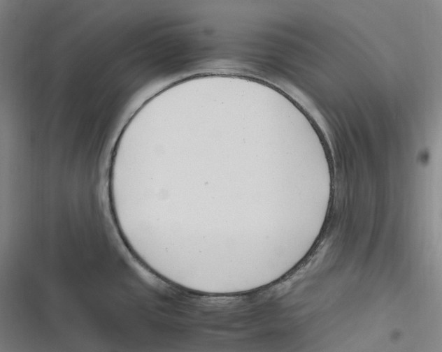 X0000116621437201001081222