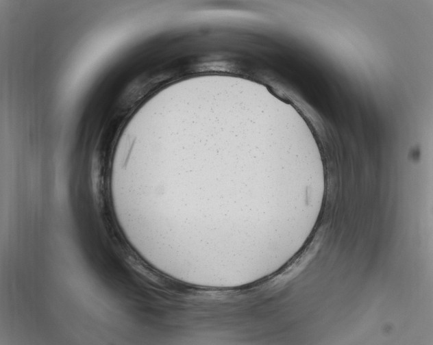 X0000116621438201001081222