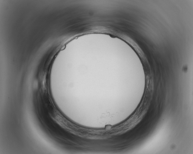 X0000116621439201001081222