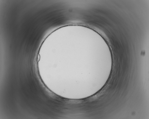 X0000116621440201001081222