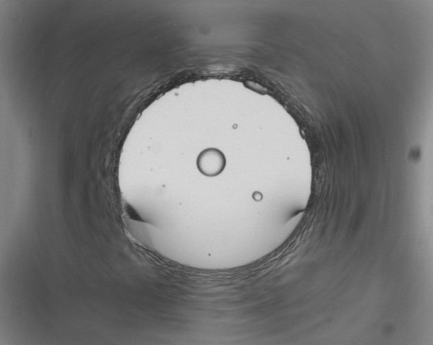 X0000116621441201001081222