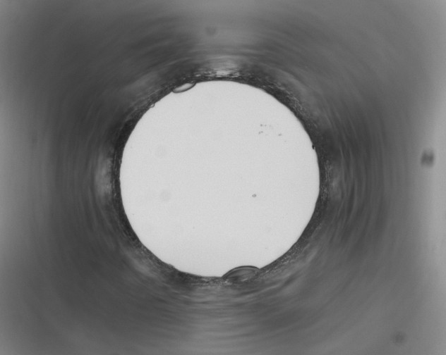 X0000116621442201001081222