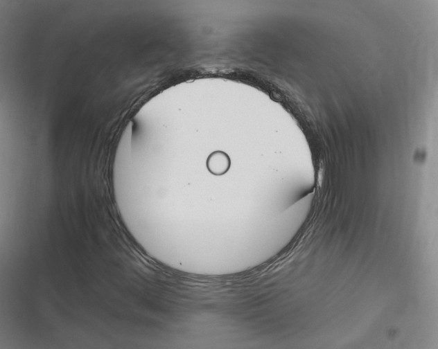 X0000116621444201001081222