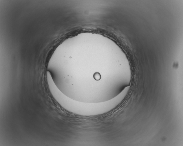 X0000116621445201001081222