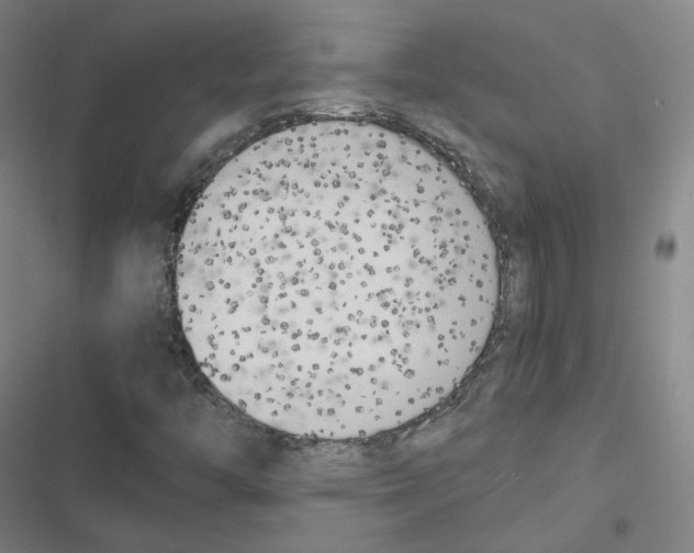 X0000116621446201001081222