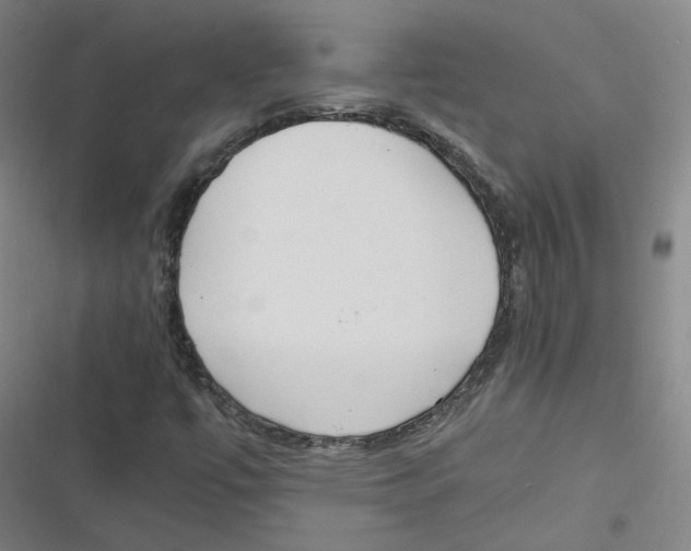 X0000116621447201001081222