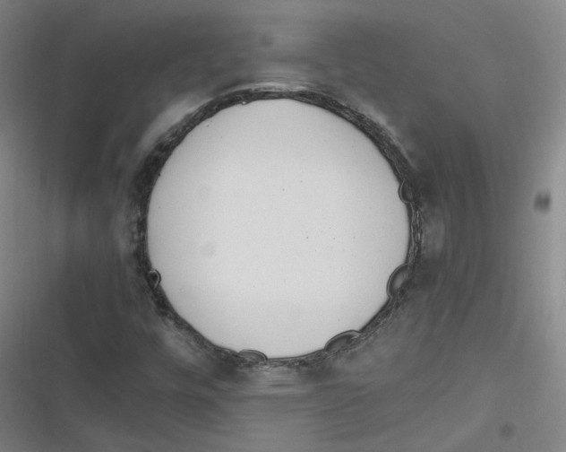 X0000116621448201001081222