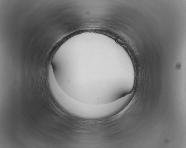 X0000116621449201001081222