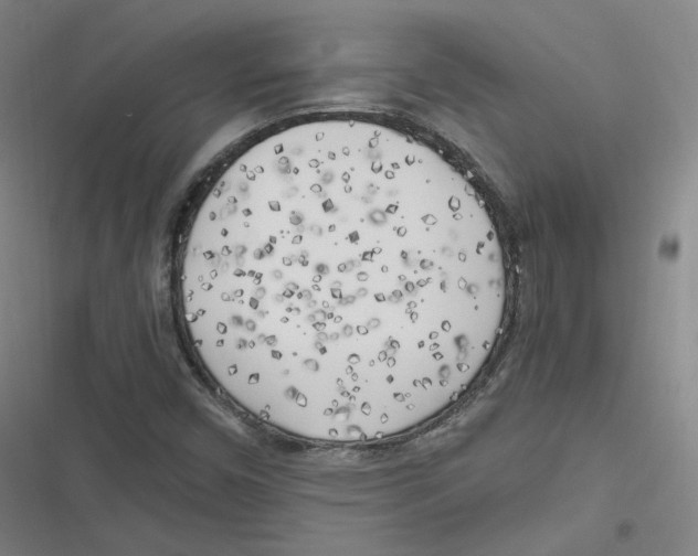 X0000116621450201001081222