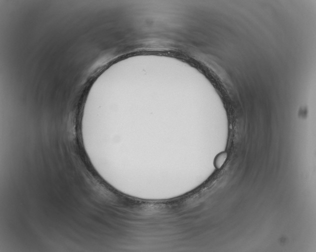 X0000116621451201001081222