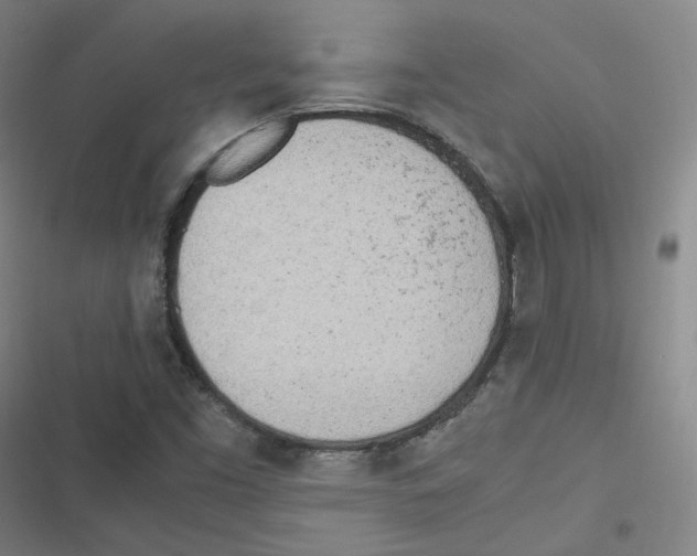 X0000116621453201001081222