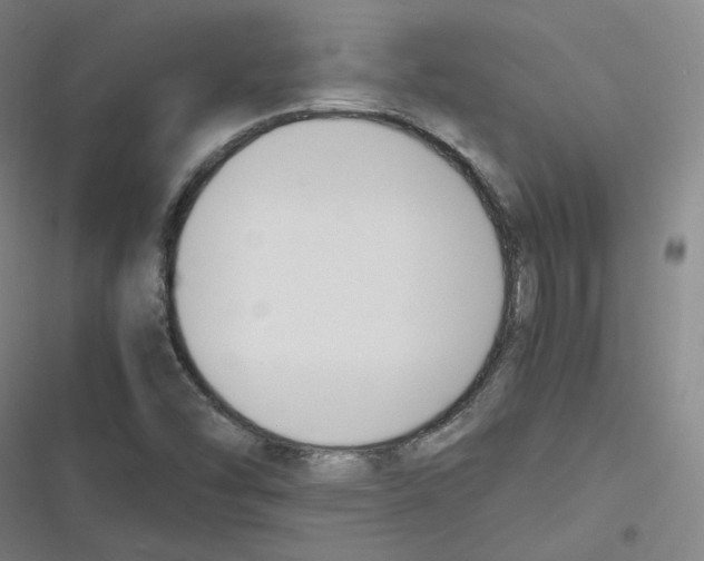 X0000116621454201001081222