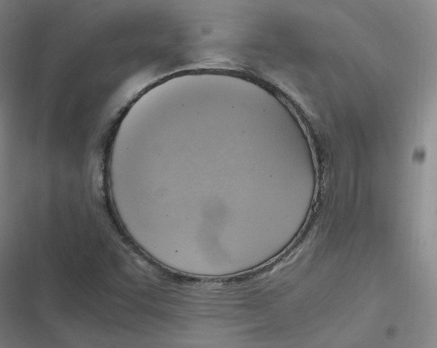 X0000116621455201001081221