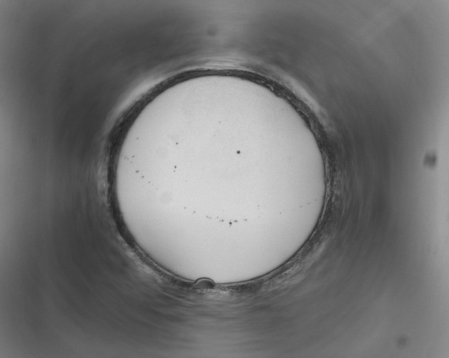 X0000116621456201001081221