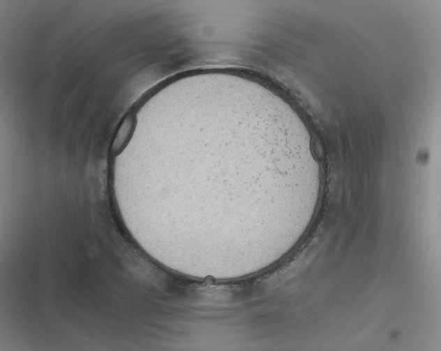 X0000116621457201001081221