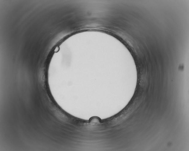 X0000116621458201001081221