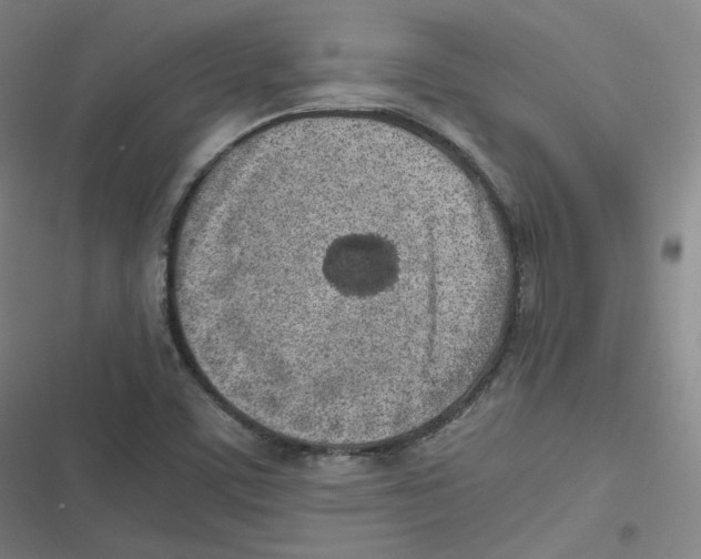 X0000116621459201001081221