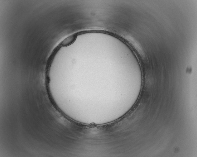 X0000116621460201001081221