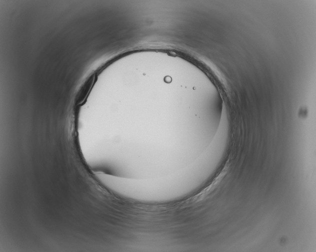 X0000116621461201001081221