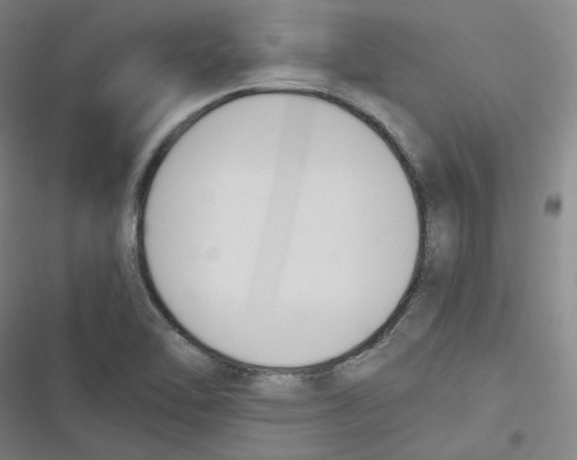 X0000116621462201001081221