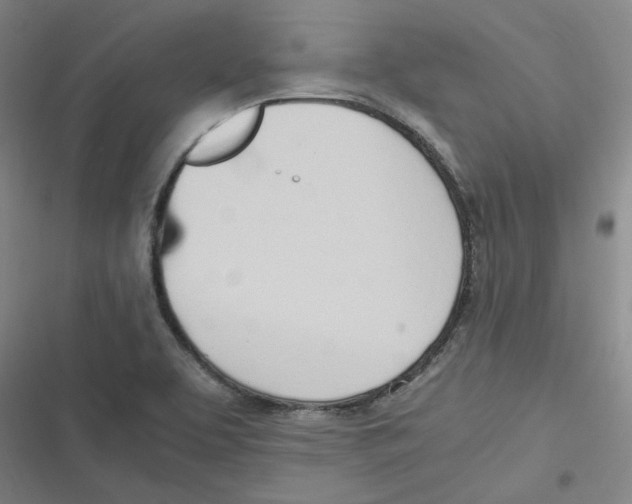 X0000116621463201001081221