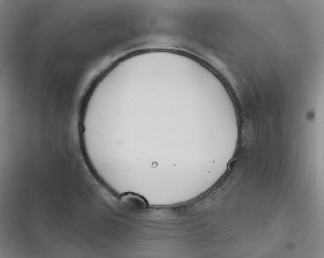 X0000116621464201001081221