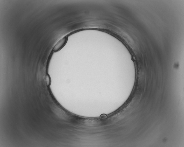 X0000116621465201001081221