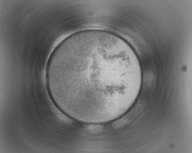 X0000116621466201001081221