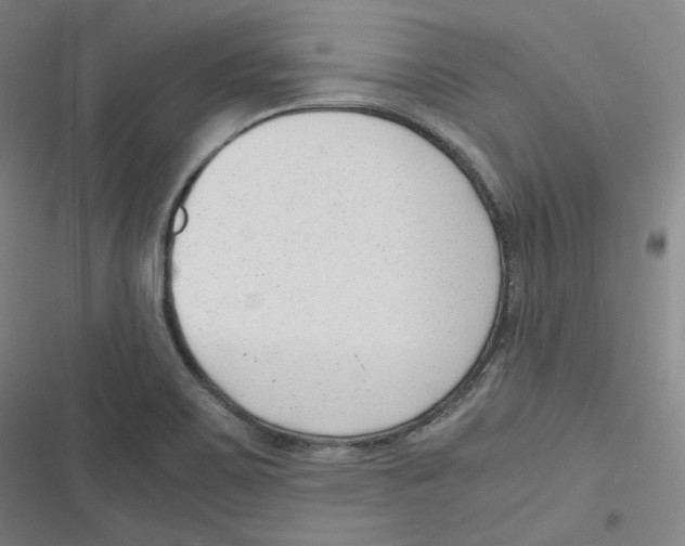 X0000116621467201001081221