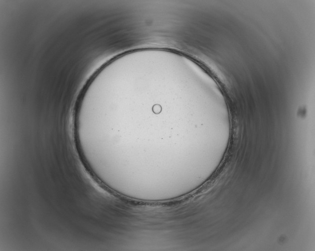 X0000116621468201001081221