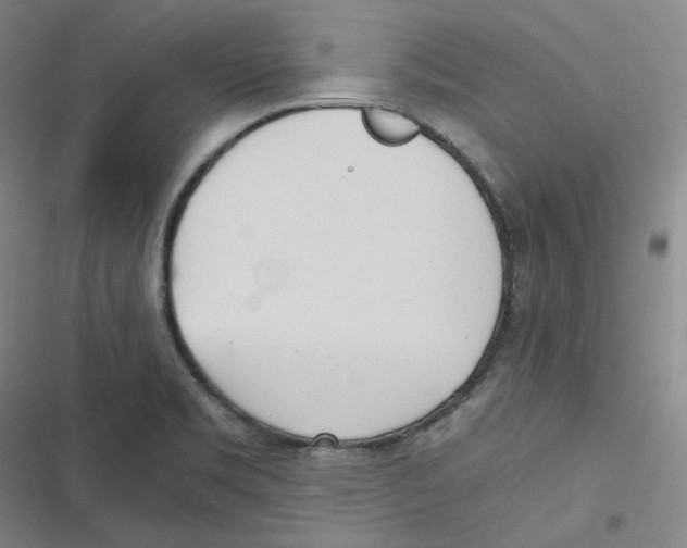 X0000116621469201001081221