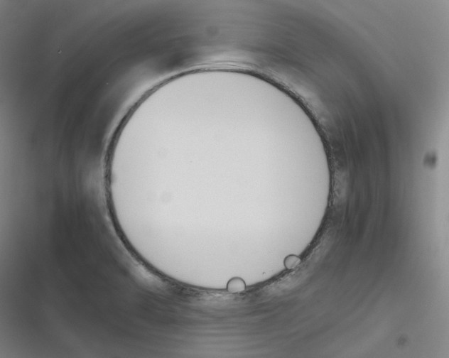 X0000116621470201001081221