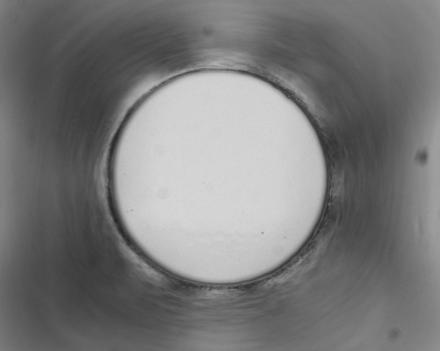 X0000116621471201001081221