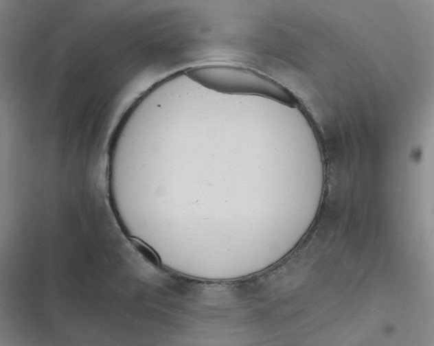 X0000116621472201001081221