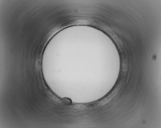 X0000116621473201001081221