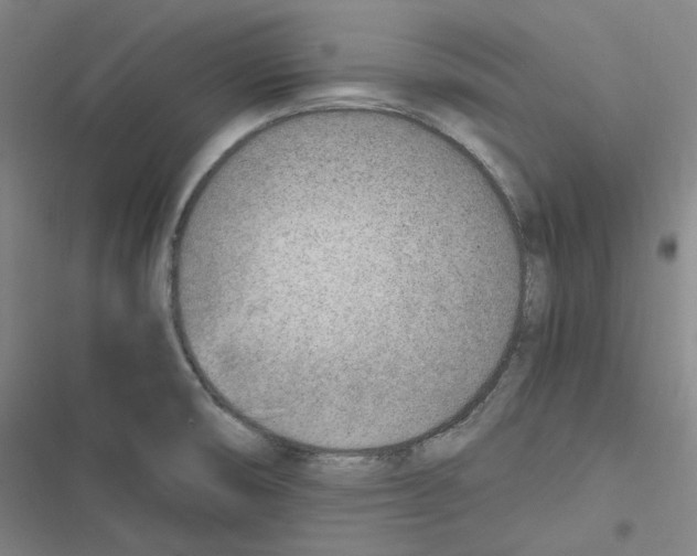 X0000116621474201001081221