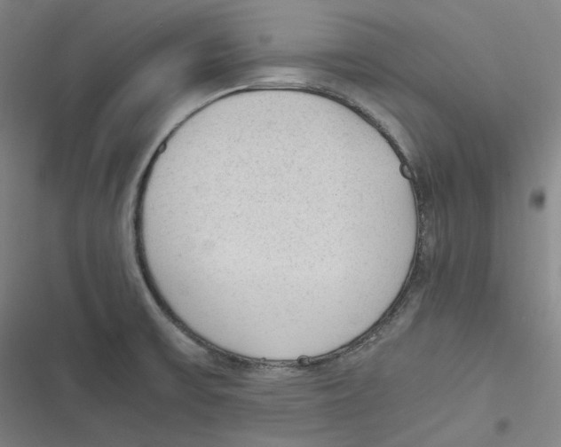 X0000116621475201001081221