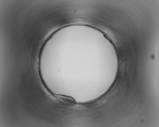 X0000116621476201001081221