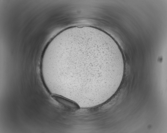 X0000116621477201001081221