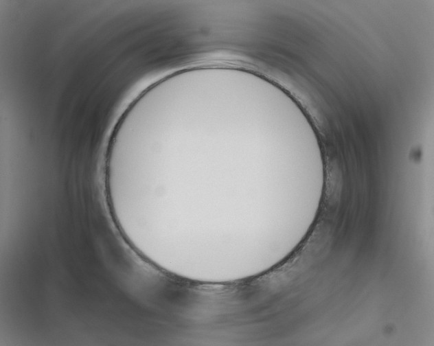 X0000116621478201001081221